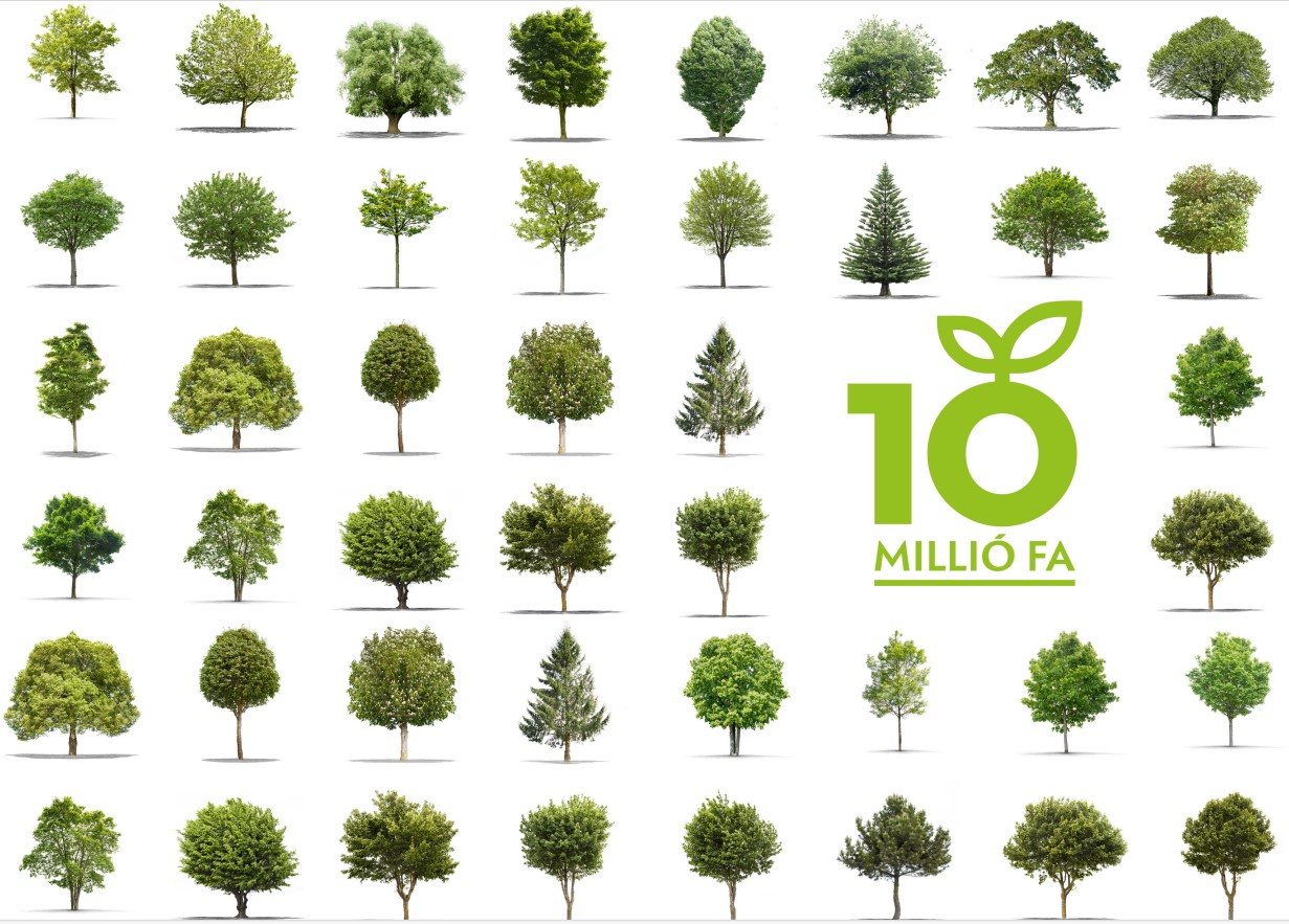„Nem csak a fákról szól” – Interjú Bojár Iván Andrással, a 10 millió Fa alapítójával