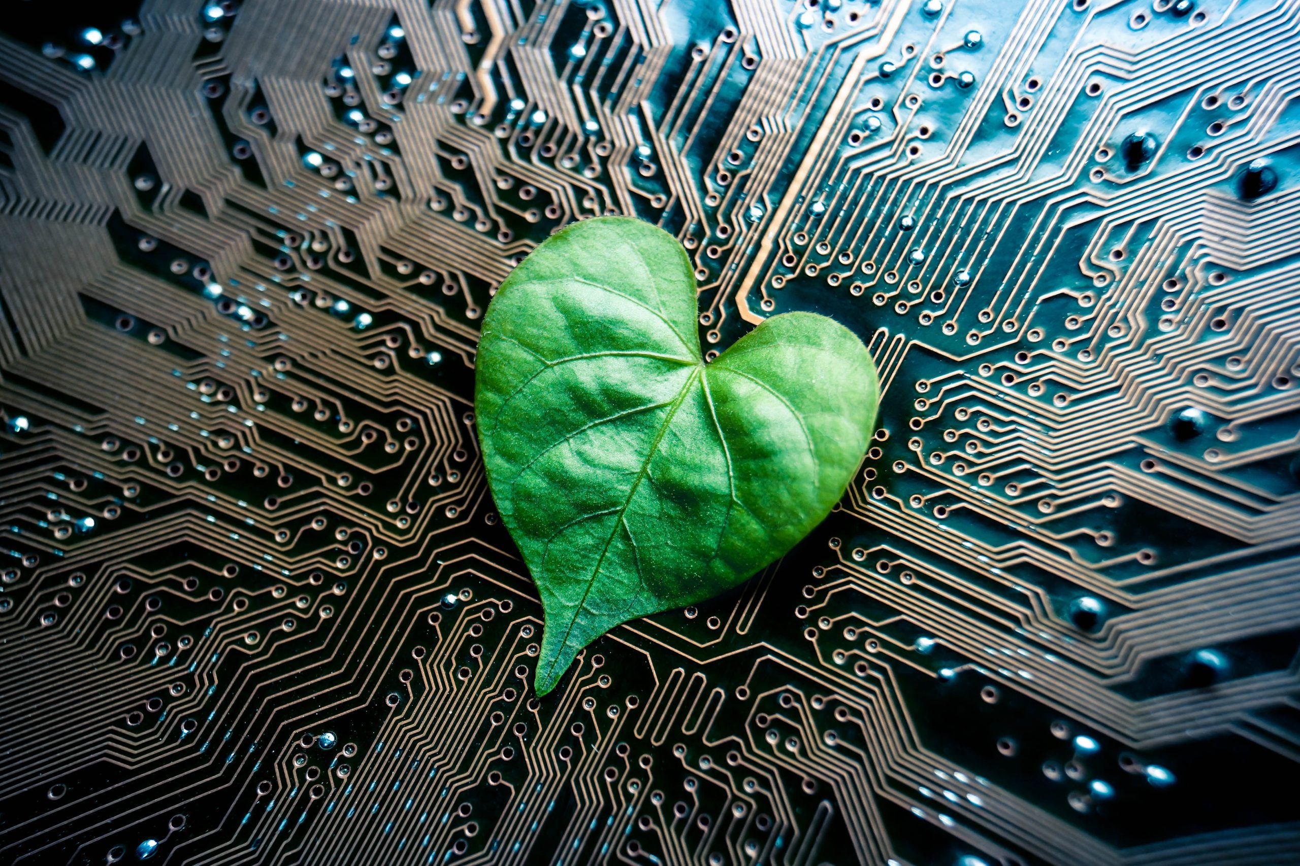 Digitális ökolábnyom: amit nem gondolnánk a felhőről, az e-mailekről és a mesterséges intelligenciáról